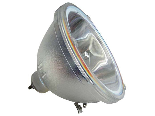 Lampada speciale PHILIPS UHP 100/120W 1.0 E23 per uso professionale