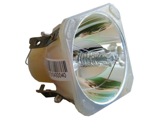 Lampada speciale PHILIPS UHP 220W/170W 1.0 E19 per uso professionale