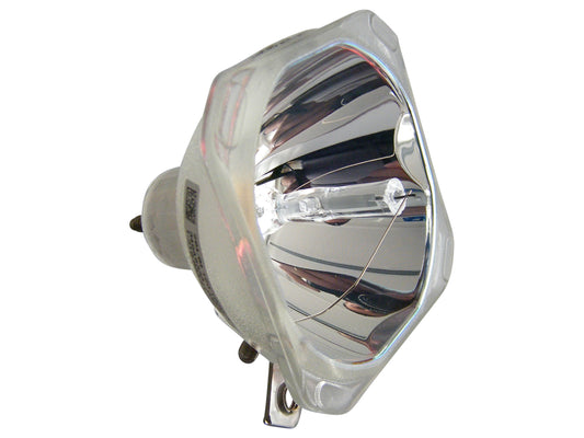 Lampada speciale PHILIPS UHP 100W/120W 1.0 E19.8 per uso professionale