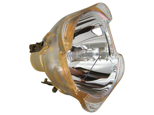 Lampada speciale PHILIPS UHP 300-250W 1.1 E21.7 per uso professionale