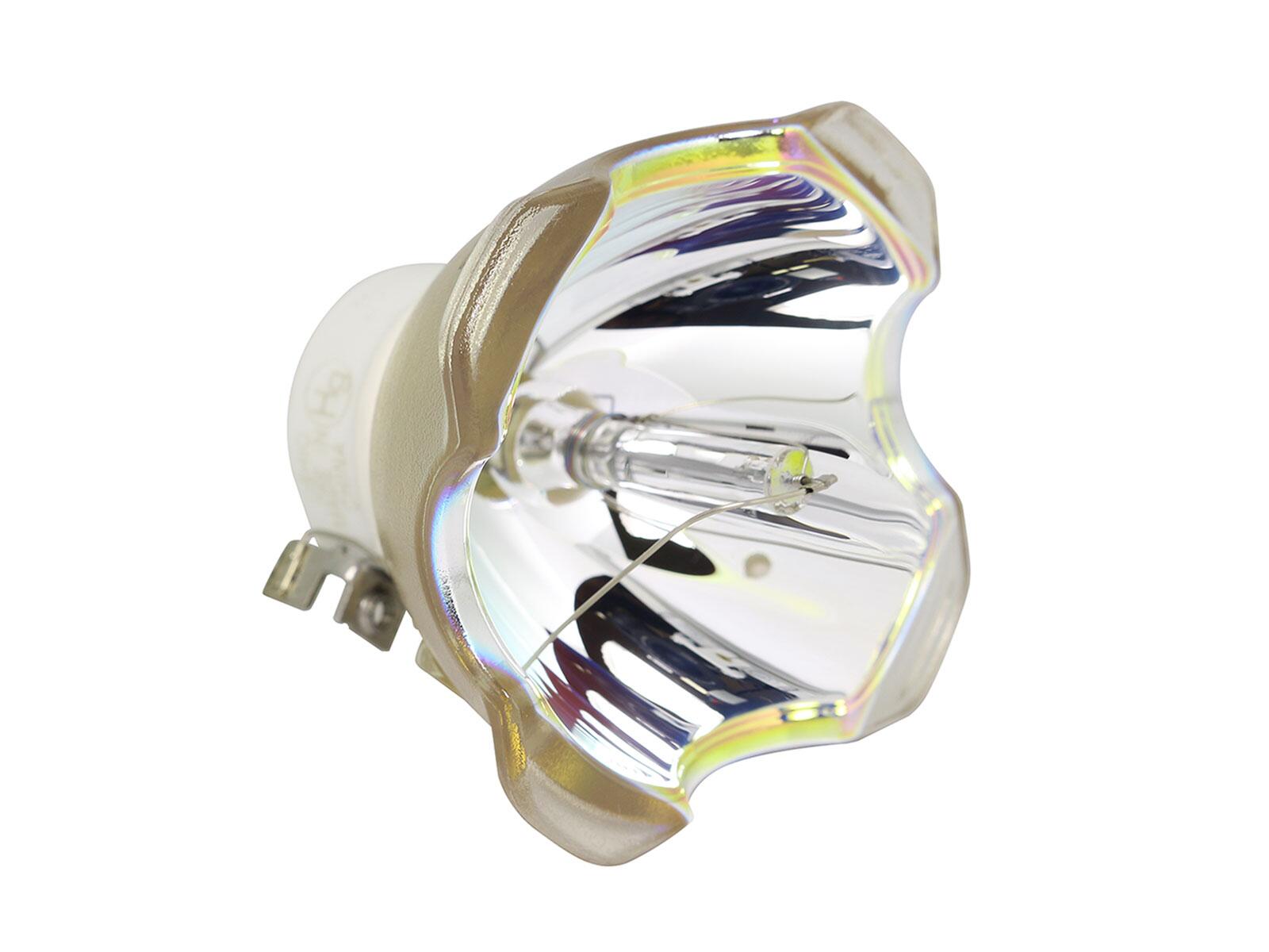 Lampada speciale USHIO NSHA310CA per uso professionale