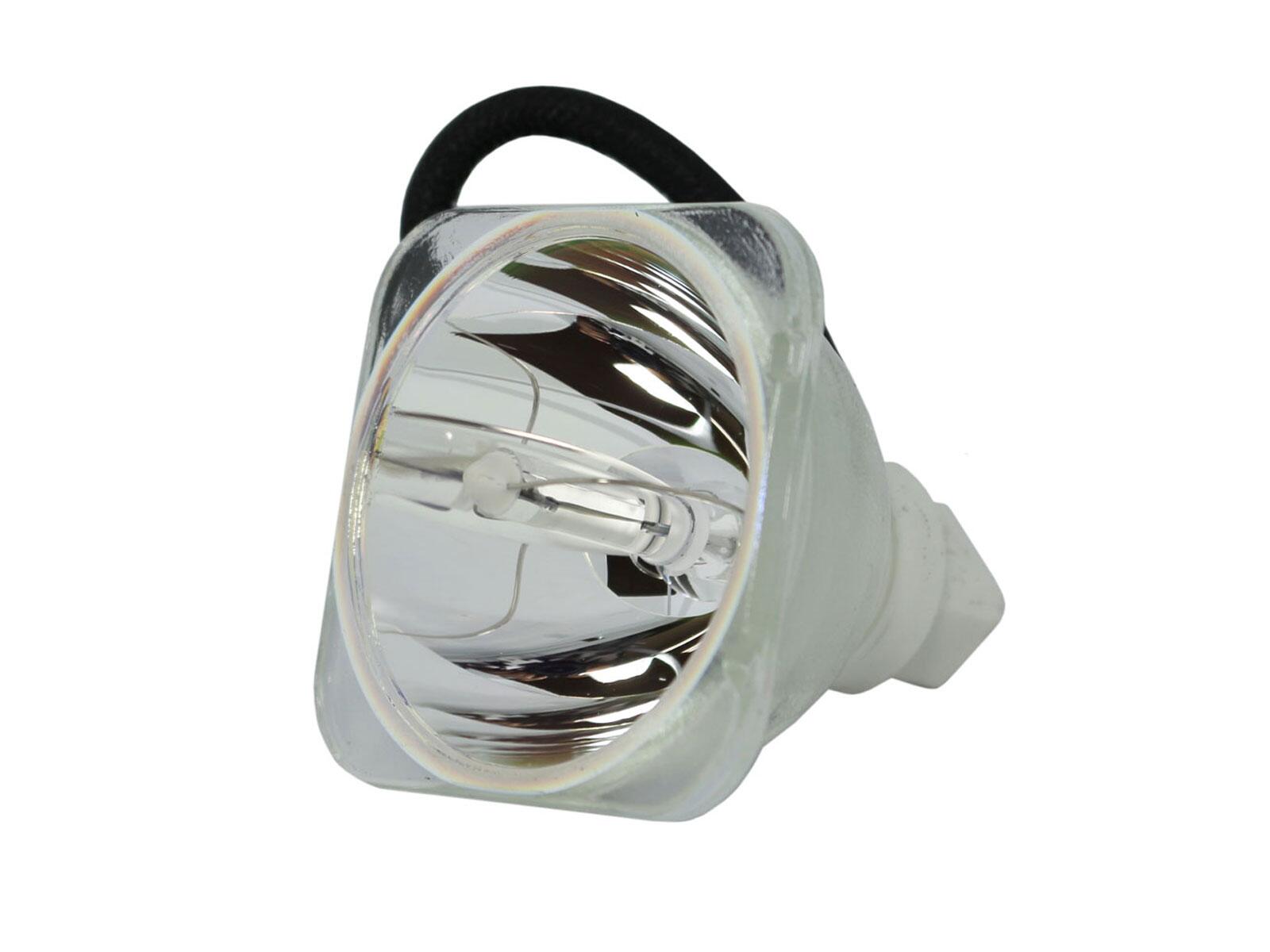 Lampada speciale PHOENIX SHP135 per uso professionale