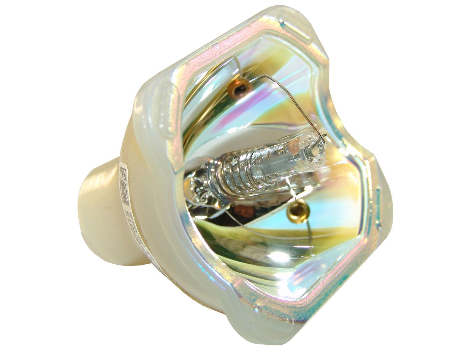 Lampada speciale PHILIPS UHP 220W/140W 1.0 E18.5 per uso professionale