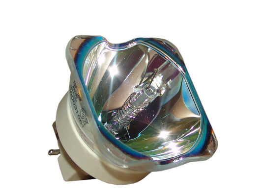 Lampada speciale PHILIPS UHP 330/270W 1.0 E19.7 per uso professionale