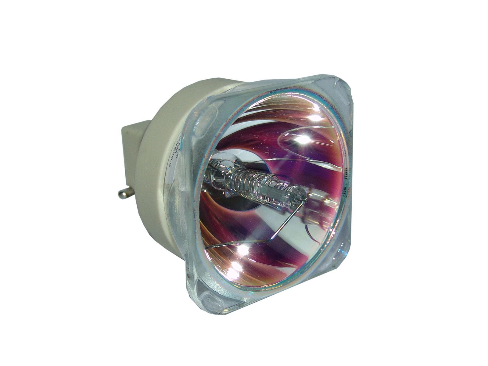 Lampada speciale PHILIPS UHP 350W/280W 1.0 E20.9 (9284 433 05390) per uso professionale