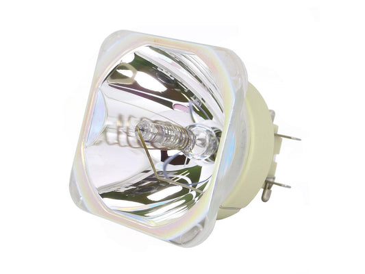 Lampada speciale PHILIPS UHP 365W/280W 1.0 E19.7 per uso professionale